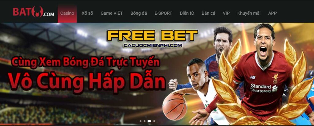 Đối chiếu thông tin thay vì suy đoán - Vipwin